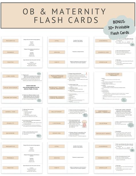 Pharmacology Flash Cards, Nurse Study, Stages Of Labor, Nurse Study Notes, Ob Nursing, Nursing School Studying, Nursing School Notes, School Information, Printable Flash Cards