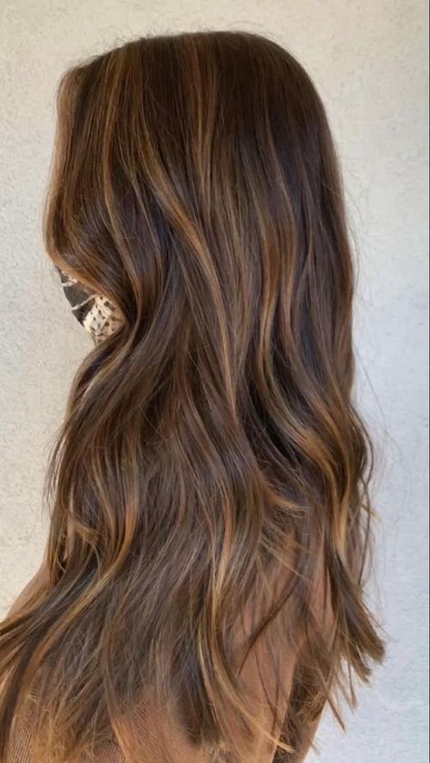 Light Brown Hair Styles, Light Brown Hair Shades, Brown Hair Styles, Light Brunette Hair, Brown Hair Inspiration, Rambut Brunette, Honey Brown Hair, Brown Hair Looks, Brown Hair Inspo