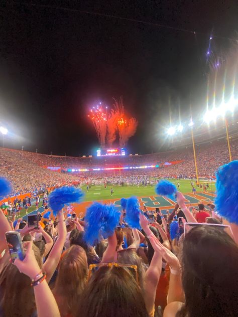 University Of Florida Gameday Outfit, Uf Aesthetic, University Of Florida Aesthetic, Uf Campus, College Football Gameday, Florida University, Florida College, Southeastern University, College Vision Board