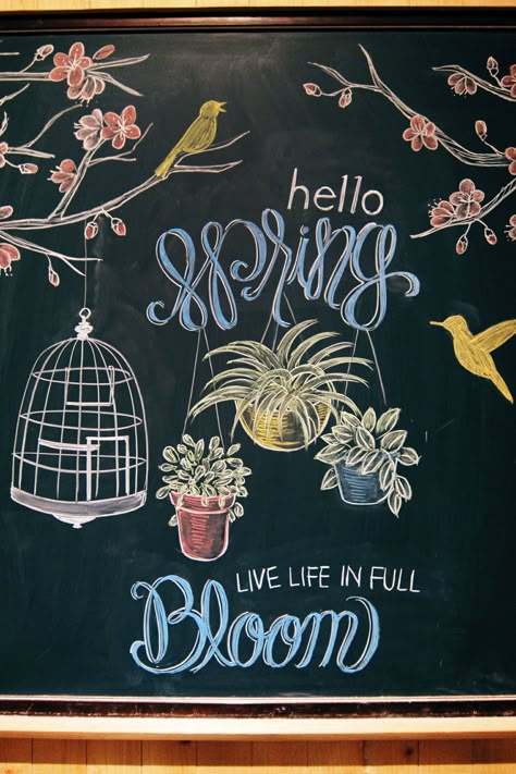 Board Drawing Chalk, Black Board Drawing Ideas, Spring Blackboard Ideas, Starbucks Spring Chalkboard, Blackboard Art Ideas, Easter Chalkboard Art, Chalk Art Coffee, Birthday Chalkboard Art, Blackboard Design