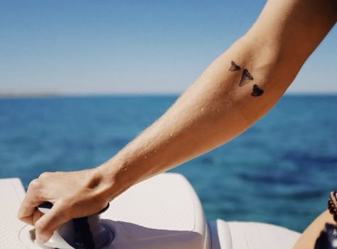 Dainty Shark Tooth Tattoo, Small Sealife Tattoos, Sharks Tooth Tattoo, Shark Teeth Tattoo, Rough Tattoo, Marine Life Tattoo, Tattoo Furniture, Dainty Tats, Ocean Life Tattoos