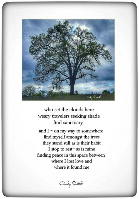 The space between~ Cindy Smith Forest Poetry, A Separate Peace, Great Poetry, Cindy Smith, Poetic Art, Poetic Quotes, Poetic Quote, Last Child, Foul Language