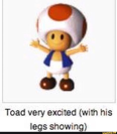 Toad Mario, Mario Memes, Best Of Tumblr, Know Your Meme, Very Excited, Super Mario Bros, Toad, You Funny, Bones Funny