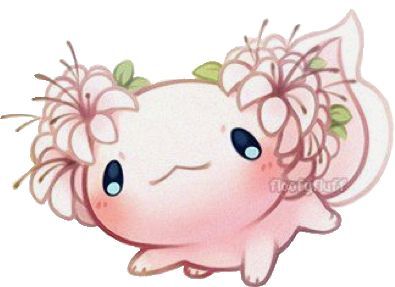 Flower Axolotl🌸🌷🌺 Reads Aesthetic, Axolotl Cute, Cute Kawaii Animals, Cute Animal Drawings Kawaii, Cute Doodles Drawings, Cute Kawaii Drawings, Cute Doodle Art, Cute Cartoon Drawings, Cute Cartoon Animals