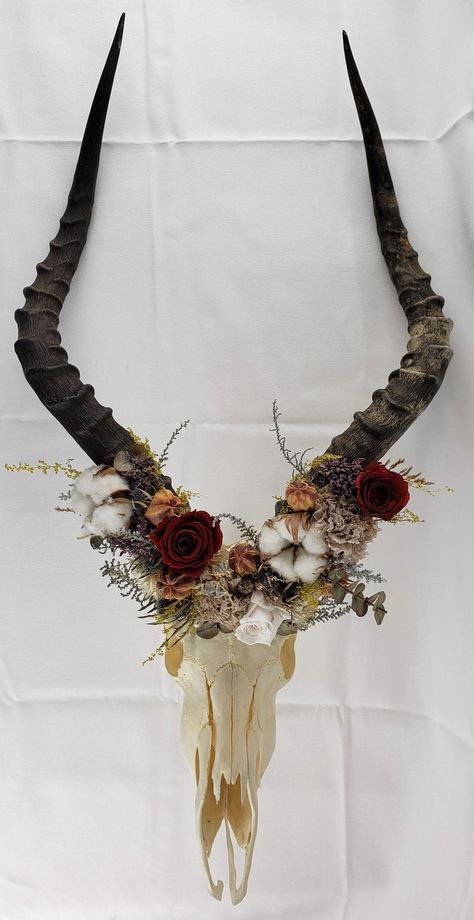 This beautiful Impala skull is ethically sourced and adorned with real flowers that have been dried or preserved through a process that removes most of the moisture of the plant and replaces it with a biodegradable substance. Flowers will stay lifelike for years to come with poper care! Flower crown consists of Eucalyptus, roses and gossypium This skull is the perfect unique home decor, especially for people interested in odditites, dried flowers, flower crowns and natural decor. Impala Skull, Deer Skull Decor, Skull Wreath, Real Skull, Cowboy Wedding, Natural Decor, Organic Nature, Bone Art, Skull Painting