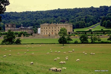 British Manor, Woburn Abbey, English Country Manor, Country Mansion, European Cottage, English Manor Houses, Country Estates, Country Manor, Chatsworth House