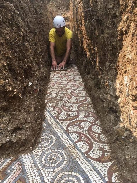 'Could Be This Year's Biggest Find': Ancient Roman Mosaic Floor Uncovered In Verona | Bored Panda Italian Vineyard, Mosaic Floors, Roman Mosaics, Roman Artifacts, Ancient Structures, Roman Villa, Roman Mosaic, Modern Mosaics, Empire Romain