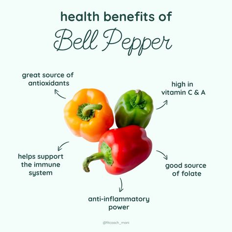 Bell peppers are not just colorful additions to your meals; they also offer numerous health benefits. Including bell peppers in your diet, along with a variety of other fruits and vegetables, can contribute significantly to your overall health and well-being. #bellpaper #healthyfood #nutrition #diet Bell Pepper Benefits, Pepper Benefits, Stuffed Peppers Healthy, Healthy Food Facts, Nutrition Diet, Food Info, Overall Health, Food Facts, Manish