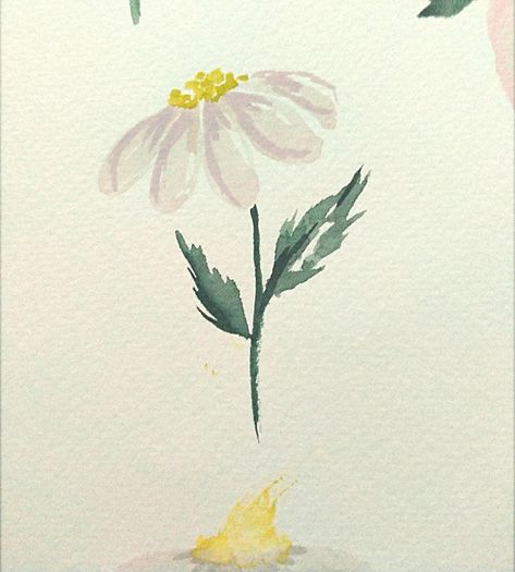 daisy watercolor Watercolour Daisy Simple, Water Colour Flowers Simple, Daisies Drawing Simple, Watercolor Daisies Simple, Daisy Painting Aesthetic, White Daisy Watercolor, Daisy Flower Drawing Watercolors, Watercolour Daisy Tattoo, Daisy Watercolor Painting Easy