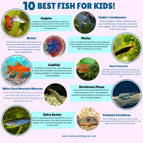 Fish Tank For Kids, Community Fish Tank, Fish For Kids, Betta Care, 10 Gallon Fish Tank, Nano Reef Tank, Best Whey Protein Powder, Best Whey Protein, Guppy Fish