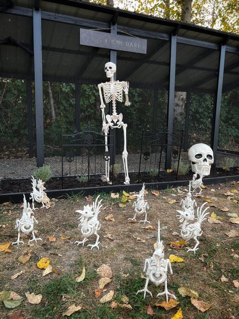 Halloween Chicken, Chicken Halloween, Chicken Coop Decor, Halloween Skeleton Decorations, Animal Skeletons, Raising Backyard Chickens, Skeleton Costume, Halloween Yard, Chickens Backyard