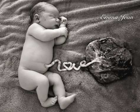 A Maori couple has posted a photo of their newborn baby with his placenta cord spelling out the word “Love” and inspired a discussion of traditional post birth rituals. Next to the image of baby Harper taken by professional photographer Emma Jean it explained the placenta would now be buried in accordance with Maori tradition. Home Birth Photography, Newborn Hospital Photography, Birth Pictures, Facebook Photo, Birth Photos, Birth Center, Baby Hospital, Birth Photography, Home Birth