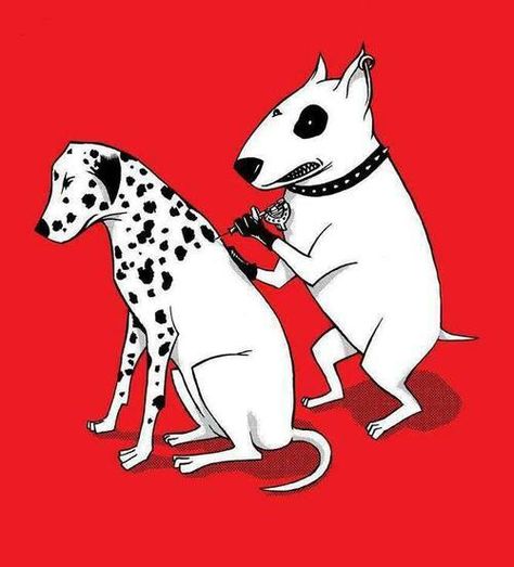 Bull terrier giving dalmation tattoo! This cracks me up! Tatoo Dog, English Bull Terriers, Dog Tattoo, English Bull, Dog Tattoos, Mans Best Friend, Bull Terrier, Bones Funny, Dalmatian