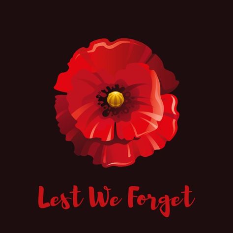 Red poppy flower for remembrance day Pre... | Premium Vector #Freepik #vector #flower #cartoon #red #world Clever Photography, Remembrance Day Posters, Poppy Images, Poppy Photo, Remembrance Day Poppy, Flower Cartoon, Remembrance Poppy, Red Poppy Flower, Armistice Day