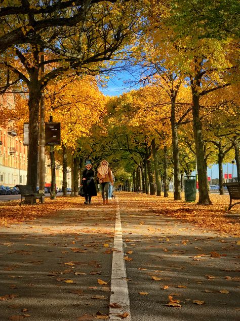 Stockholm In Autumn, Stockholm Autumn, Stockholm Travel, Autumn 2024, Full Moon, Stockholm, Sweden, Moon, In This Moment