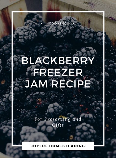 Black Raspberry Freezer Jam Recipe, Blackberry Freezer Jam Recipe, Blackberry Freezer Jam, Seedless Blackberry Jam, Raspberry Freezer Jam, Blackberry Jam Recipes, How To Freeze Blackberries, Freezer Jam Recipes, Sugar Free Jam