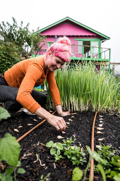 Learn how to plant garlic gloves and discover some helpful tips on interplanting from Gardening Australia presenter Hannah Moloney. Garlic Companion Planting, Growing Garlic From Cloves, Garlic Companion Plants, How To Plant Garlic, Plant Garlic, Planting Garlic, 2024 Moodboard, Growing Garlic, Companion Plants