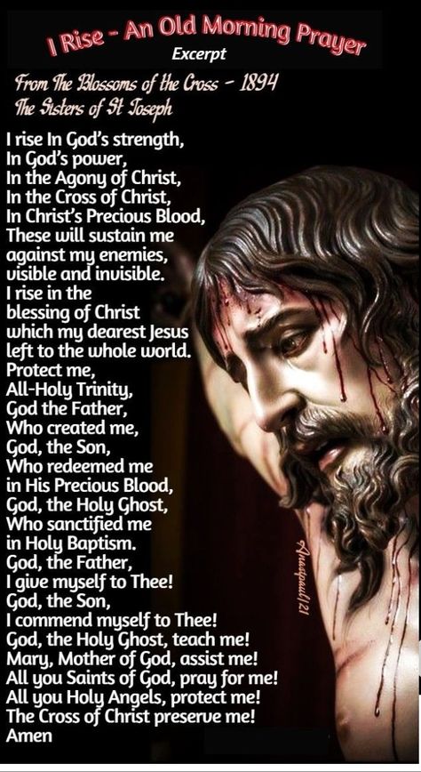 Strength In God, Catholic Saints Prayers, Cross Of Christ, Morning Offering, Catholic Prayers Daily, Catholic Beliefs, Novena Prayers, Spiritual Prayers, Miracle Prayer