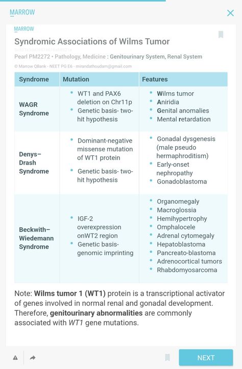 Wilms Tumor, Medical School Studying, Medical School, Medicine, Medical