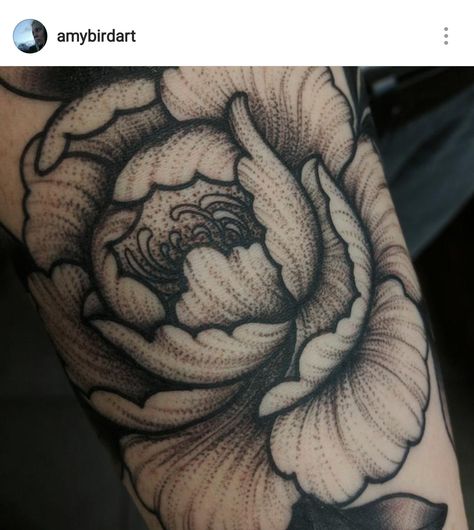 Detail of dotwork Japanese peony flower tattoo by Amy Williams Tattoo Peony Whip Shading Tattoo, Peony Tattoo Dotwork, Dotwork Flower Tattoo, Peony Flower Tattoo Design, Peony Flower Tattoo, Japanese Peony Tattoo, Japanese Peony, Japanese Tattoo Women, Peony Flower Tattoos