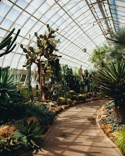 Desert Ecosystem, Nyc Landmarks, Gold Photography, New York City Vacation, New York Botanical Garden, Indoor Greenhouse, Garden Park, New York City Travel, Garden Girls