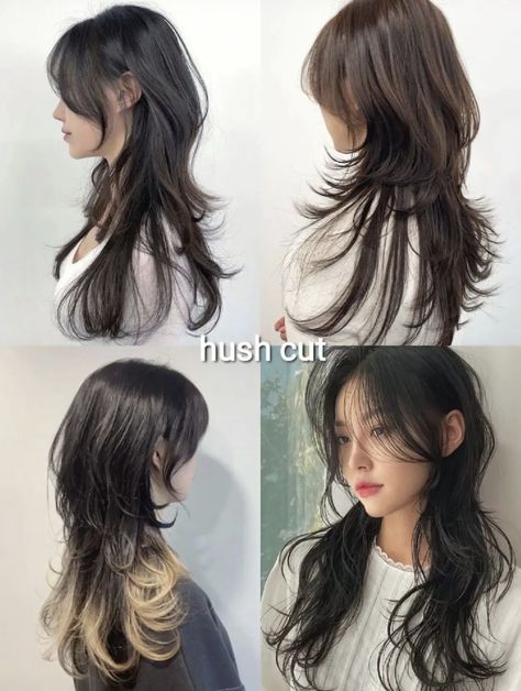 Korean Hershey Haircut, Flipped Out Layered Hair, Haircut Reference Long Hair, White Tipped Hair, Hush Haircut Medium Length, Hush Cut Medium Length, Straight Hush Cut, Hush Cut On Curly Hair, Hush Haircut Long Hair