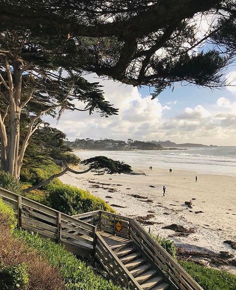 Paradise found ☀️ • #carmel #carmelbeach #carmelcalifornia #montereycounty #seemonterey #beach #ocean #visitcalifornia #california… Carmel Beach California, Carmel Beach, Carmel California, Monterey California, California Photos, Carmel By The Sea, Visit California, Paradise Found, Sunrise Beach