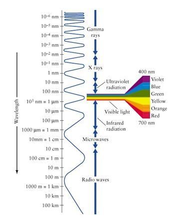 An image illustrating the visible electromagnetic spectrum. Displayed is a vertical length of electromagnetic wave, with faster frequency shown at the top and slower frequency shown at the bottom.  Near the middle, a funnel-like image — displaying the colors of red, orange, yellow, green, blue and violet — protrudes, marking the location of visible light along the electromagnetic spectrum. Left Vs Right Brain, Radio Waves, Electromagnetic Spectrum, Physics And Mathematics, Electromagnetic Radiation, Quantum Physics, Visible Light, Physical Science, Science Education