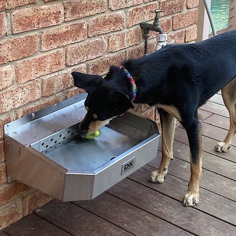 Mower Shed, Pet Washing Station, Cute Husky Puppies, Dog Kennel Designs, Washing Station, Puppy Room, Dog Training School, Dog Yard, Dog Area