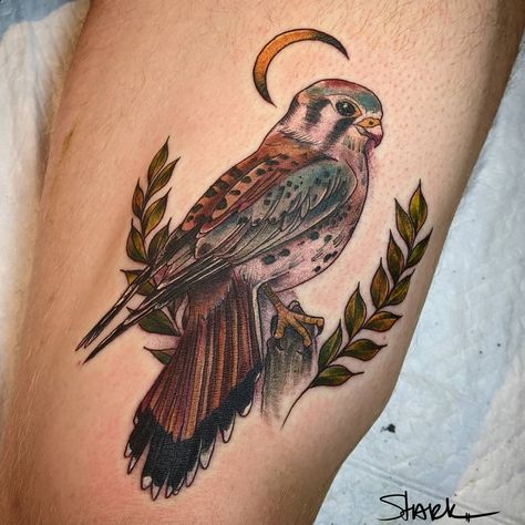 Bobbi Stark on Instagram: ��“Here's a Kestrel on a very rad client! More like this forever, please. #tattoosbybobbistark #americankestrel #keepsakestudio…” Kestrel Tattoo Design, Kestrel Tattoo, American Kestrel Tattoo, Raccoon Tattoo, Kestrel, Human Canvas, Weird Tattoos, Book Tattoo, Traditional Tattoo Art