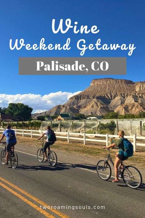 Whether it be a bachelorette/Bachelor Party, girls weekend or a staycation, Palisade, CO has the perfect self-guided winery tour. You can ride bikes, rent limos/shuttles or have a designated driver to travel around to the different wineries Palisade, CO has to offer. This weekend getaway will be full of adventure, laughs and a good ol'time! #winery #winerytour #colorado #biketour #wine #wineries Palisade Colorado, Designated Driver, Bachelorette Bachelor Party, Travel Secrets, Budget Friendly Travel, Colorado Adventures, Winery Tours, Adventure Guide, Grand Junction