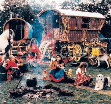 Season Of The Witch, Horse Drawn, Green Decor, Wagons, Belly Dance, Campfire, Circus, Baby Animals, Image Search