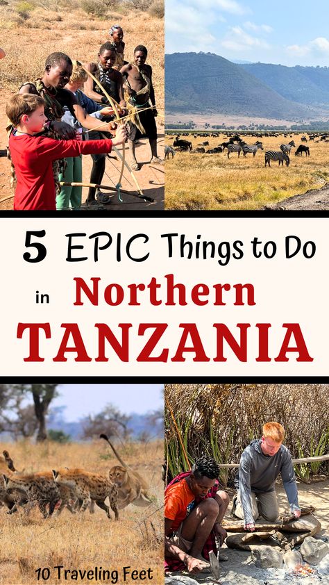 Northern Tanzania is Completely Bursting with Fantastic Things to Do! Experience world-class safaris, incredible cultural interactions, eye-opening natural wonders, inspiring museums and more! Northern Tanzania is a perfect family vacation destination as well, and I would love to share with you what we found and our family's favorite sites. Tanzania Travel | Serengeti Safari | Tanzania Tribe Visit | Hadzabe | Tanzania with Kids | Oldavai Gorge Travel Tanzania, Serengeti Safari, Tanzania Travel, Africa Travel Guide, Family World, Africa Wildlife, Tanzania Safari, Serengeti National Park, Kid Friendly Activities