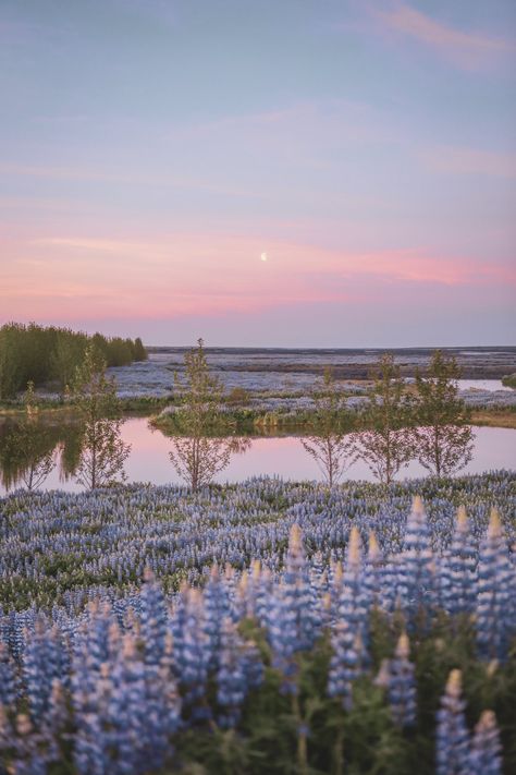 Sara + Core + Aesthetic, Modern Water Feature, Iceland Nature, Dreamy Photography, + Core + Aesthetic, Aesthetic Images, Nature Aesthetic, Fantasy Landscape, Beautiful Photography