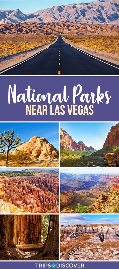 National Parks Near Las Vegas, Las Vegas To Zion National Park, Girls Weekend Getaway, Las Vegas Trip, Girls Weekend, Weekend Getaways, Night Club, Nevada, Outdoors Adventure