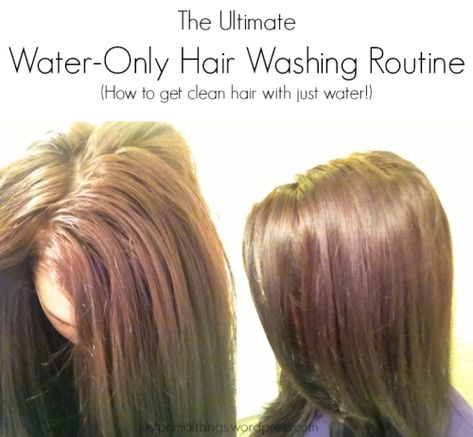 3 Month Update: The Ultimate Water Only Hair Washing Routine – [No Shampoo!] – RESULTS « Just Primal Things No Shampoo Method, Water Only Hair Washing, Healthy Reminders, Mens Beauty, No Shampoo, Hair Washing Routine, Oily Roots, Hello Hair, Hair Clean