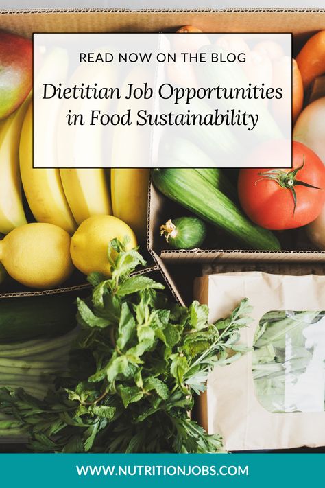 Are you passionate about health, nutrition, and sustainability? If so, a career in sustainable nutrition might be your perfect path. The article provides a detailed exploration of the growing field of sustainable nutrition jobs, highlighting the diverse opportunities and skills needed to thrive in this industry. Click here to read more about sustainable nutrition jobs. Sustainable Nutrition, Nutrition Jobs, Food Sustainability, Sustainable Food Systems, Resume Guide, Job Inspiration, Community Supported Agriculture, Food System, Job Resume