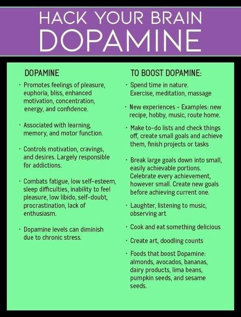 How To Increase Dopamine, Dopamine Diet, Increase Dopamine, Dopamine And Serotonin, Nervus Vagus, Increase Serotonin, Brain Facts, Mental Health Facts, Mental Health Therapy