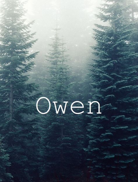 Owen Owen Name Sign, Billy From Stranger Things, Owen Name, Native American Names, Traditional Boy Names, American Names, Nature Inspired Names, Ing Words, Greek Name