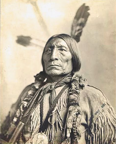 The Great Chiefs - True West Magazine Cheyenne Tribe, Native American Print, Native American Chief, Native American Images, Native American Men, Native American Pictures, Wilde Westen, Native American Photos, Indigenous Americans