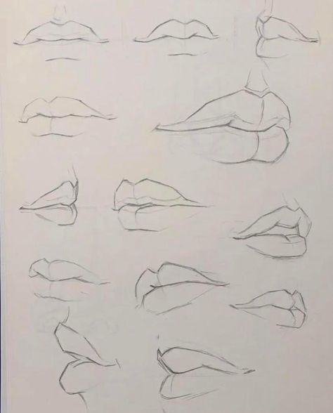 Lip Anatomy Drawing, Lip Tutorial Drawing, Lips Sketch, Face Art Drawing, Lips Painting, Human Sketch, Mouth Drawing, Flower Art Drawing, Anatomy For Artists