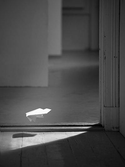 momentary Photo B, Paper Plane, Black White Photos, Bw Photo, 50 Shades, On The Floor, Shades Of Grey, The Floor, Light And Shadow