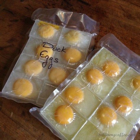 How To Freeze Eggs, Freeze Vegetables, Freezing Food Guide, Freeze Eggs, Freezer Ideas, Kitchen Knowledge, Storing Eggs, Freezing Vegetables, Homesteading Tips