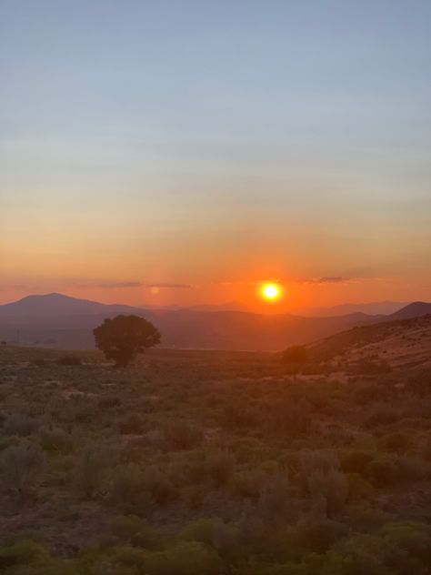 Nevada Desert Aesthetic, Desert Sunset Aesthetic, Rhett Abbott, Nevada Aesthetic, Nevada Sunset, Desert Rain, Desert Aesthetic, Nevada Desert, Fields Of Gold