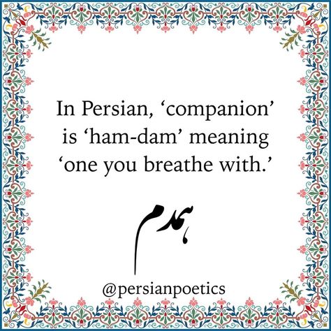 Tag your ham-dam :)” • Oct 31, 2021 at 3:49pm UT Persian Love Quotes, Afghan Poetry, Learn Farsi, Poetry In English, Afghan Quotes, Persian Poetry, Persian Quotes, Urdu Thoughts, Oct 31