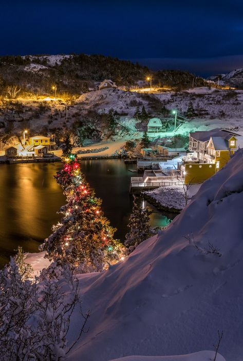 Newfoundland Christmas, Canada Christmas, Newfoundland, Pretty Wallpapers, Wallpapers, Christmas