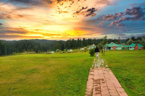 #yusmarg #kashmir #kashmirtourism #srinagar #nature #travel #kashmiri #mountains #kashmirvalley #kashmirdairies #jammukashmir Kashmir Valley, Alpine Forest, Names Of Jesus Christ, Tourist Sites, Tranquil Retreat, Srinagar, The Meadows, Tourist Destinations, Nature Travel