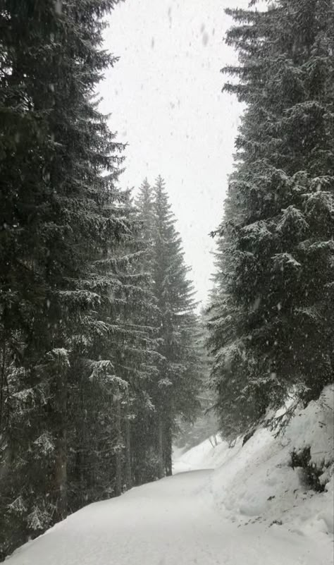 Crystal Winter, Ski Condo, Condo Renovation, Forest Magic, Snowy Woods, Eastern Kentucky, Mountains Aesthetic, Amazing Scenery, Snowy Weather