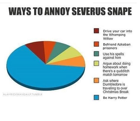 Snape Hp Jokes, Reader Things, Harry Potter Moments, Hp Funny, Meme Harry Potter, Pie Charts, Harry Potter Memes Hilarious, Hogwarts Letter, Harry Potter Puns