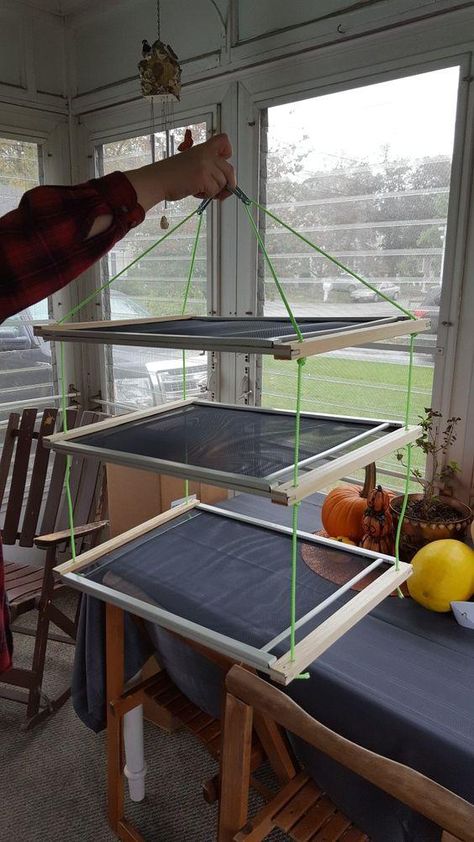 Diy Plant Drying Rack, Sun Drying Rack, Herb Drying Rack Diy Frames, Herb Drying Rack Diy, Diy Herb Drying Rack, Diy Herb Drying, Herb Drying Rack, Old Window Screens, Herb Rack